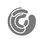 07-conspiração-filmes